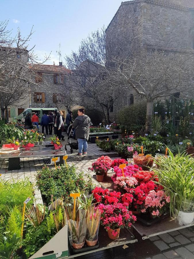 Bed and Breakfast Mountain View Townhouse Quillan Exterior foto
